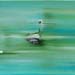 tableau-ludovic-mar 6064